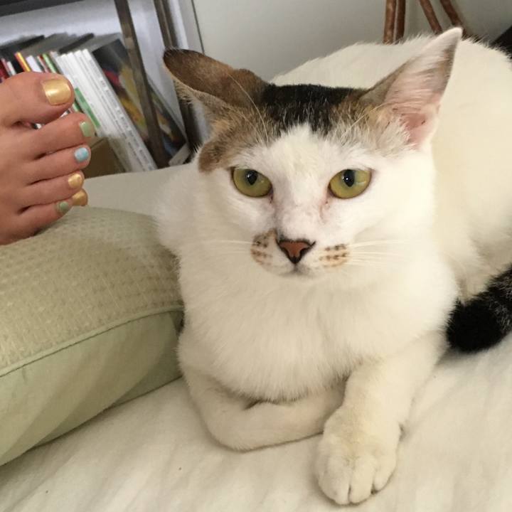 1717cd51 bef1 43b9 80eb d127755e7714