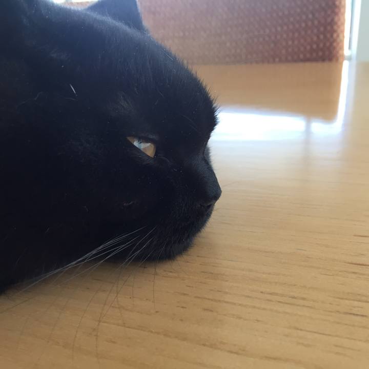 1718113a 6b06 4394 bdbb b9b4a3a83872