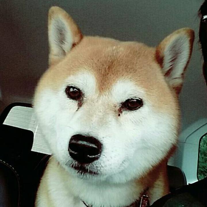 171818ea b500 406a 8f7b 4f47d487ffd0