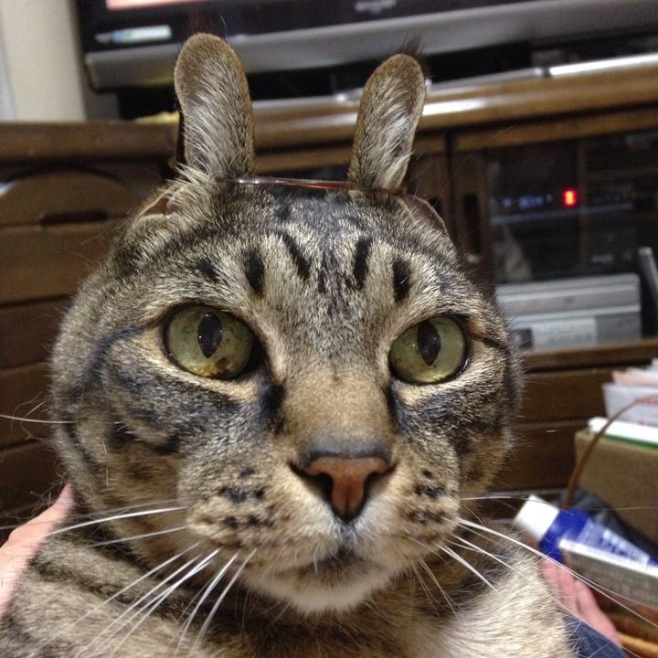 17197056 1618 4dec 84b7 82c31318c745