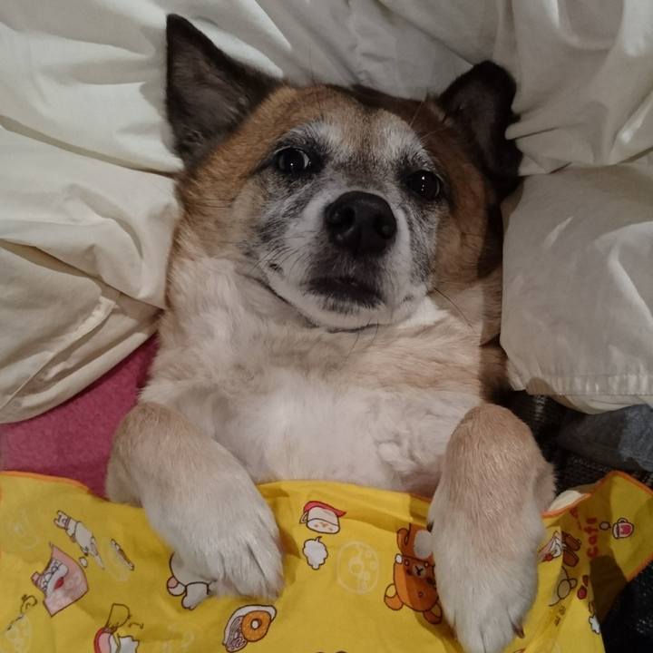 1719775b 4586 4bff 8c96 34ff07eb7d55