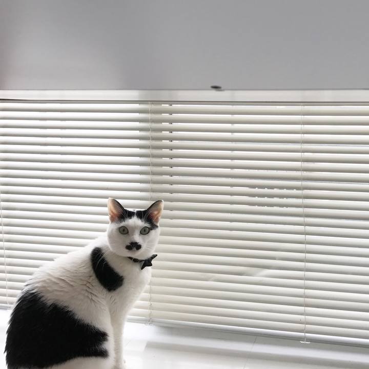 1719aa28 9715 40dc 8f95 e9e292557612