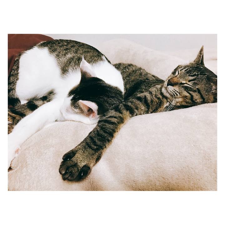 171adbda a3da 48e8 a8f6 f6a5881035b6