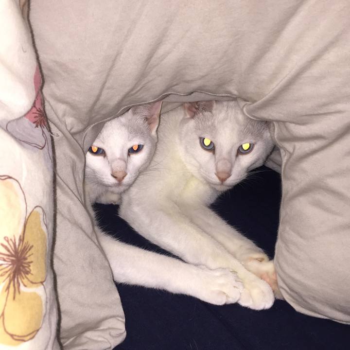 171b0bf2 fc54 4142 86af c1ae9239384e