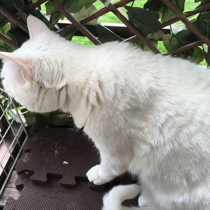 171b46ef 3fc5 4b63 bbe6 fc93bb765bc0