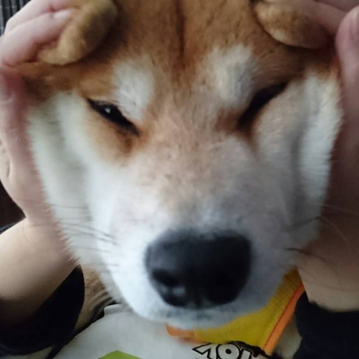 171bb504 6eb5 45c1 a8c9 9cf7923c9b17