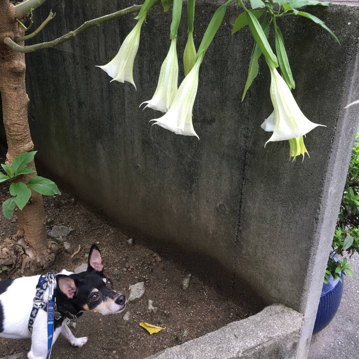 171be8d1 0e89 40de 8abc 69cab0a0be41