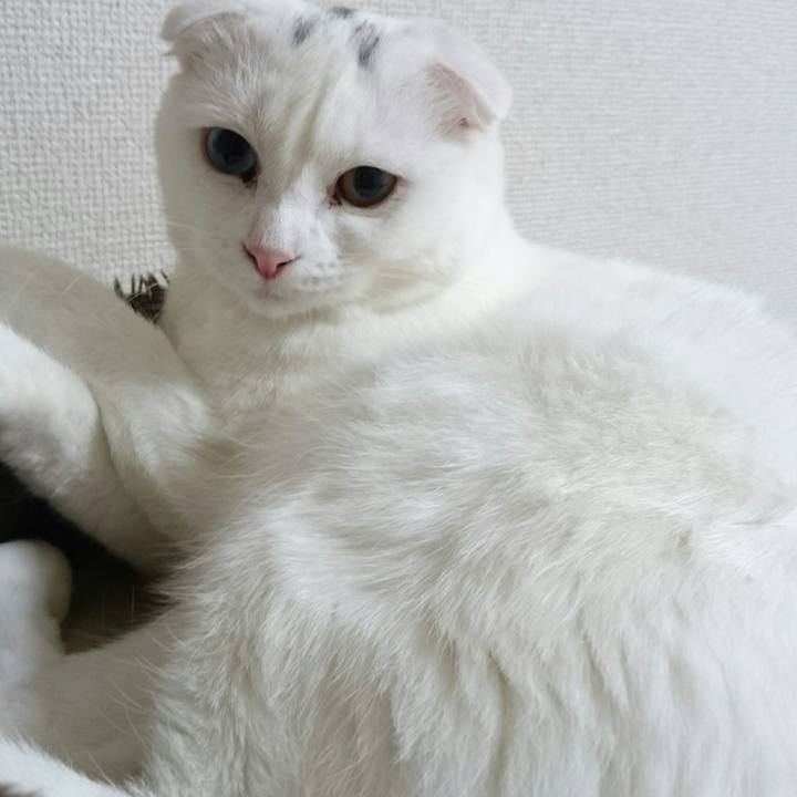 171c2657 1589 4d7e a30c 2757949d8547