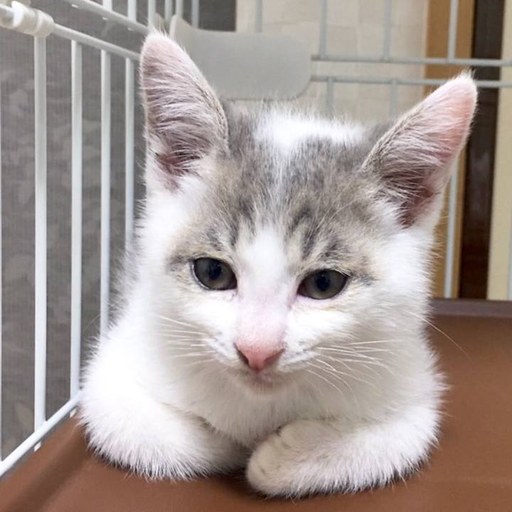 171c4b86 63fd 4aa1 9de5 2ef9fe3eb7d2