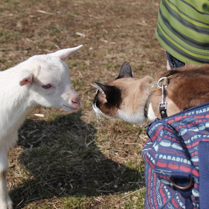 171d0669 3871 4637 808a 843508bb340d