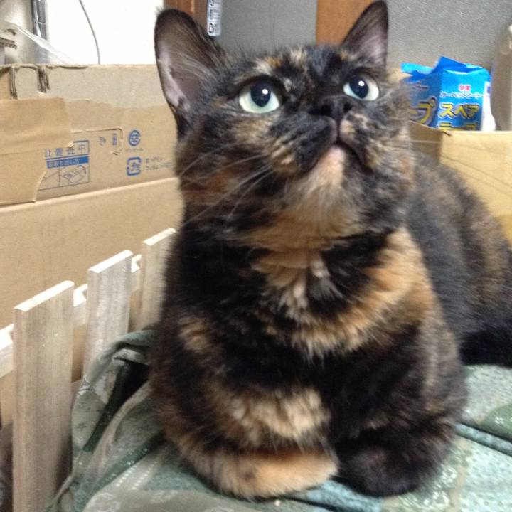 171d7543 f4ff 4a78 9311 bfcd2a14eac3