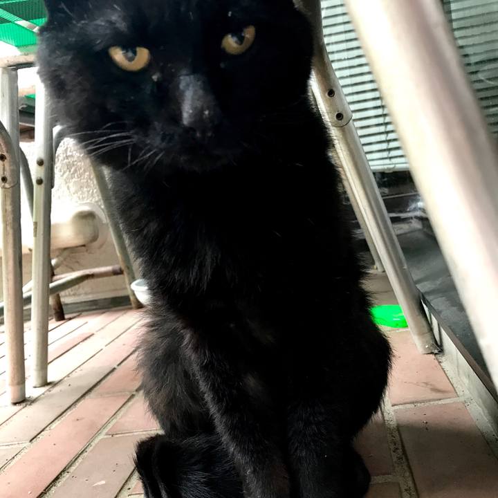 171e04ff 086d 4f01 b832 e29476d8a83a