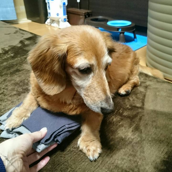 171e4f92 08d9 4761 9d3b 394ba5cb6300