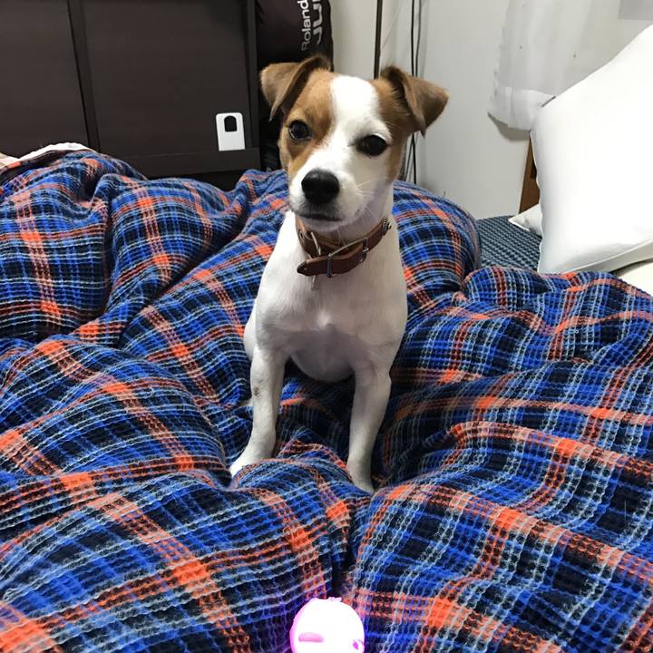 171e63c0 f97c 4615 8b12 30b1055c6ee0