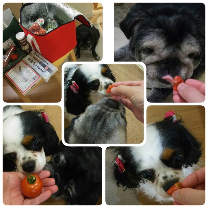 171e6a10 e243 4967 b5fb 87ca2df137b2