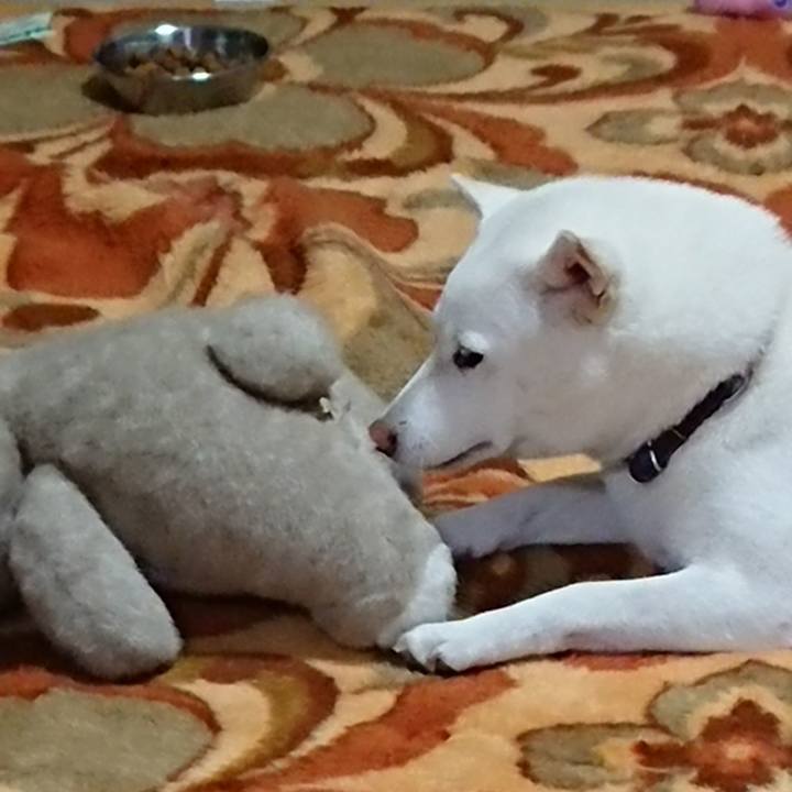 171f6cb5 e189 4418 a29a 0d596e1dffa3