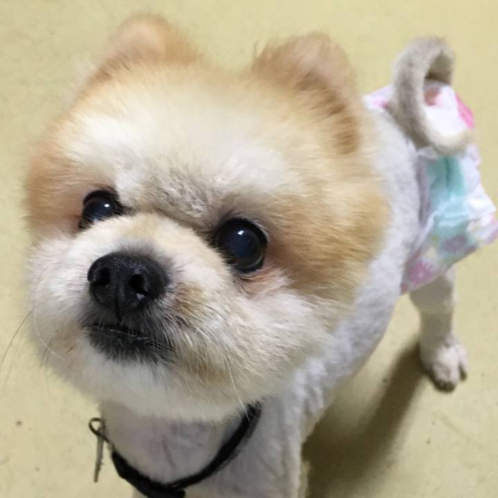 171ffeef 90fb 4e0e b361 ad03b4842981