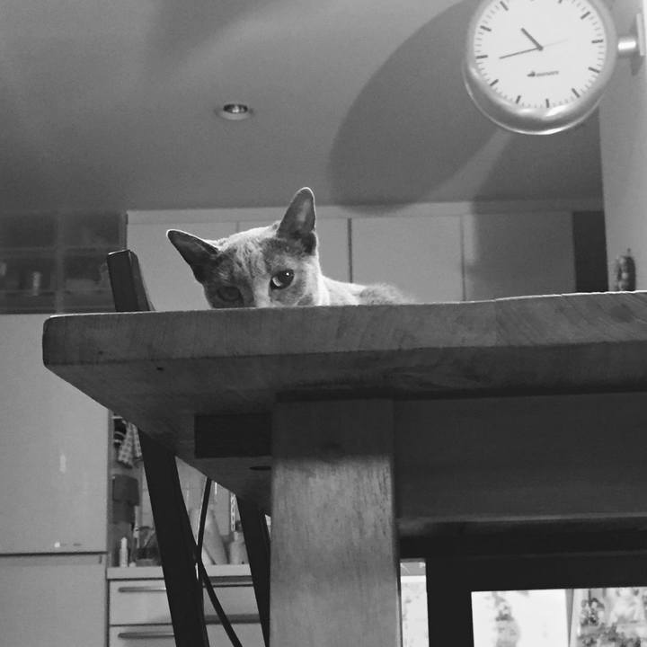 1720f833 a386 40df 9e16 397823372037