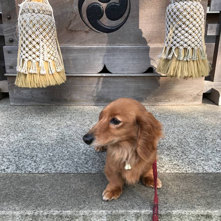 1721792a 9d7d 4b98 beb8 634a804fcf15