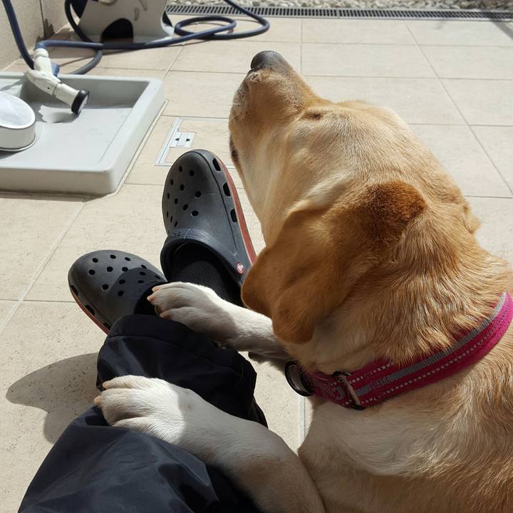 1721e7ae c174 4eba b475 b540cfa2be8d