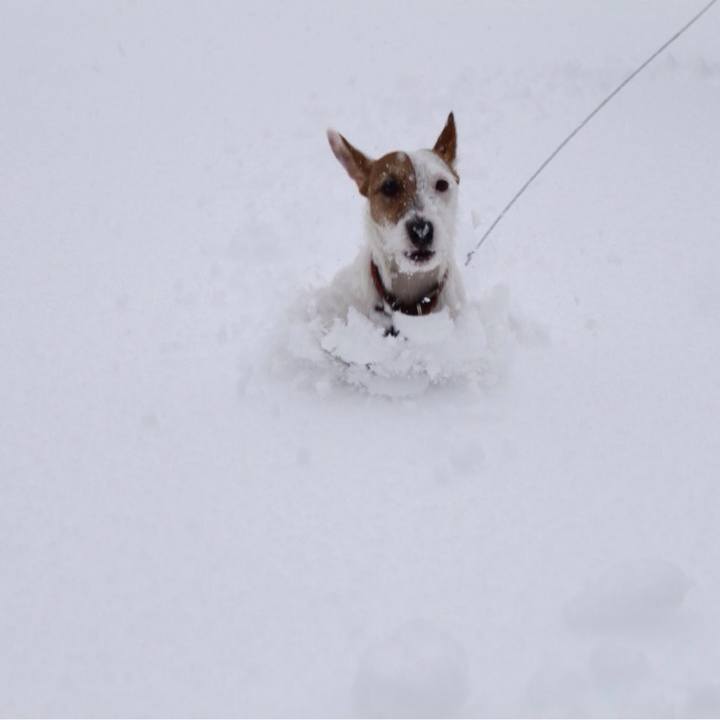 1721fd4a 2355 4f08 b39a 7f5b99ee8428