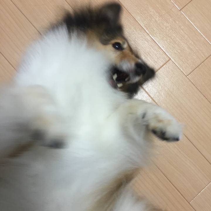 172206ee 5d4a 4308 9912 8671fd4a200d