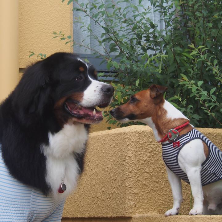 172211c7 38d3 4612 81cd 9ceb29ba5e85