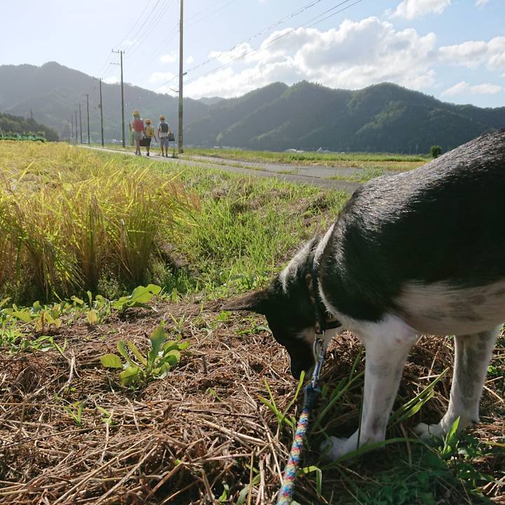 172269b4 5c0d 40c9 baf0 83ca2ad27143