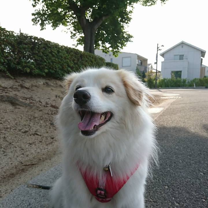 172278f6 8492 413a 934d 31e1fca00b01