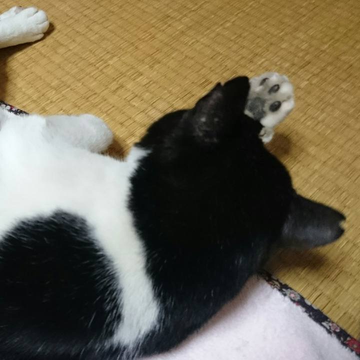 17229eb7 1704 4ace bfbd a7b22ce5f4e7