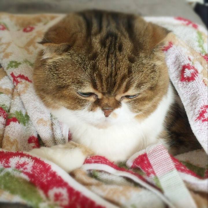 17229ec8 3c62 40da a854 3f310ab555f8