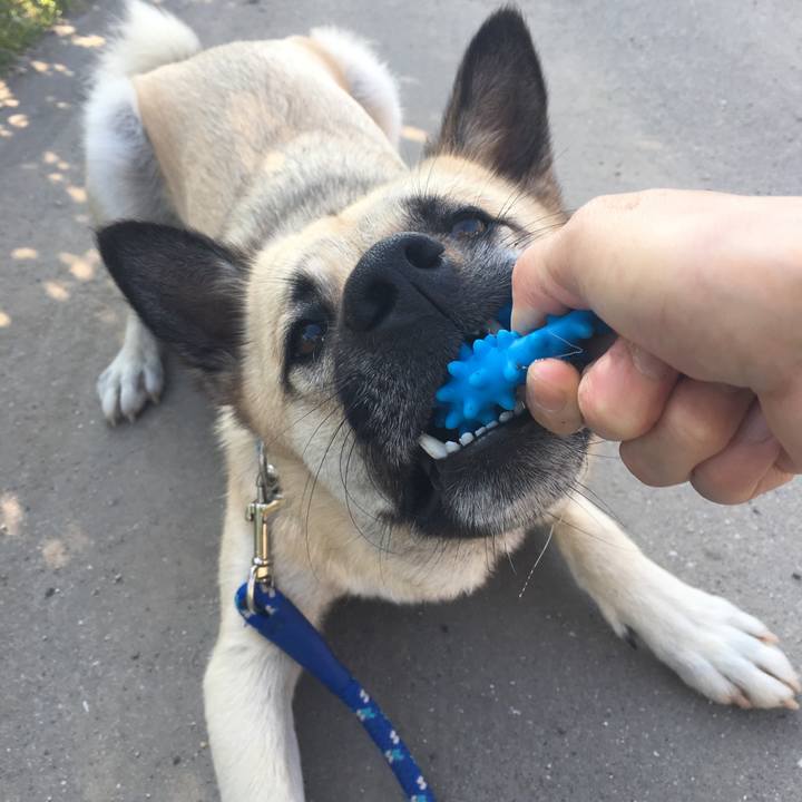 17233222 cd35 4427 b949 e8b972346152