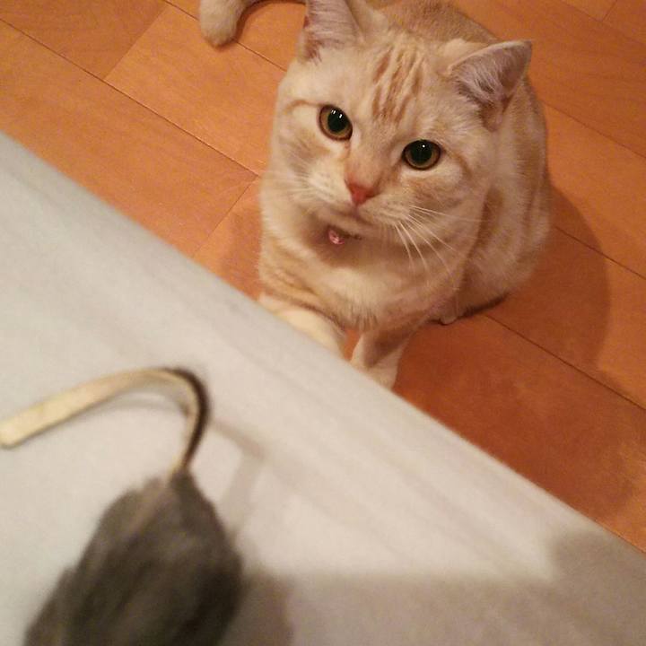 172346d2 81d6 4626 b009 5c2cd02ec3b6