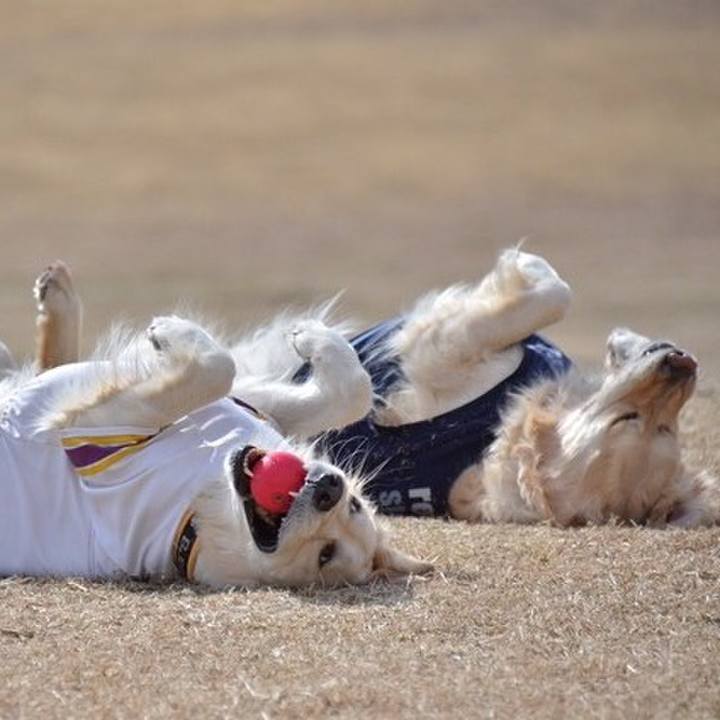 17244a84 6b6e 48d8 a2a2 91fc98a52829