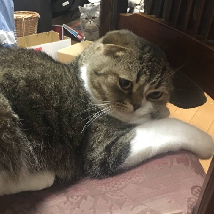 1724f262 0eec 4e9b b1a9 2adf9c06d2eb