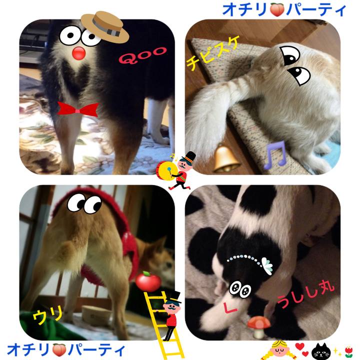 17252f69 486d 4607 b516 23479e40d65e