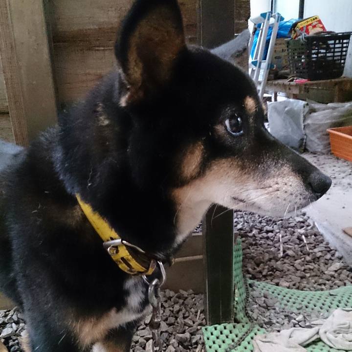 17255ab6 bec6 40a2 b80b f19811f38452