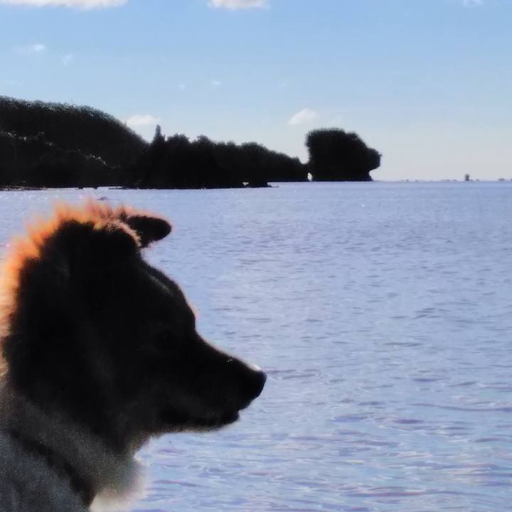 17255c2f d6c8 4fb3 b331 0e9dd9db34a6