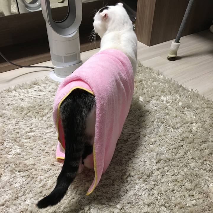 17256ae6 5bd4 4195 9fbf 53a750a70666