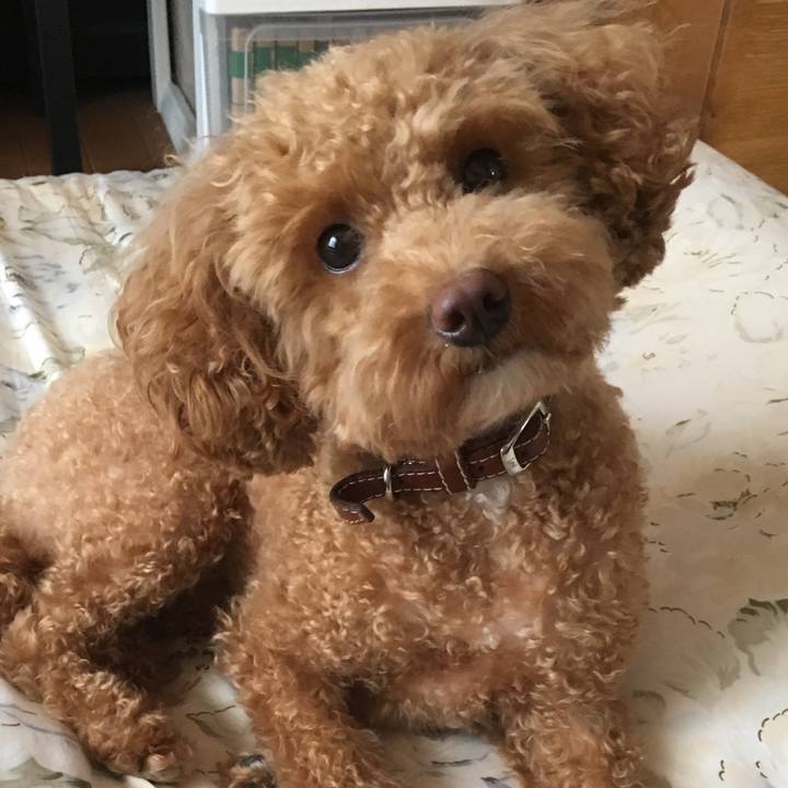 17256fe3 1329 4048 be36 d98073d28f5a