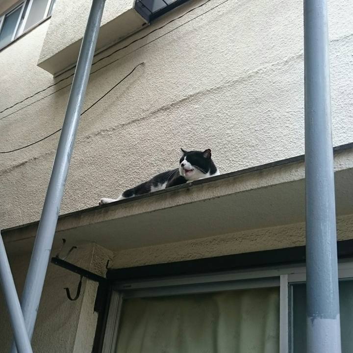 17258c92 c83e 406e b740 8981e3480614