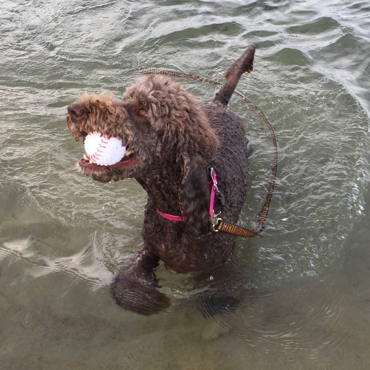 172628a0 23cf 4826 8110 67ab1e864ac3