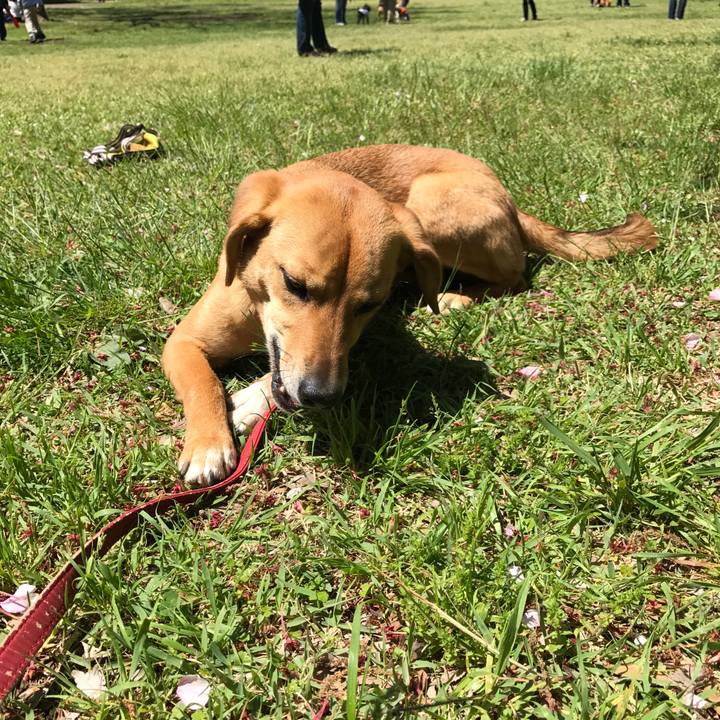 17263f35 ac23 42b5 8b1c 003ec79a2a4a