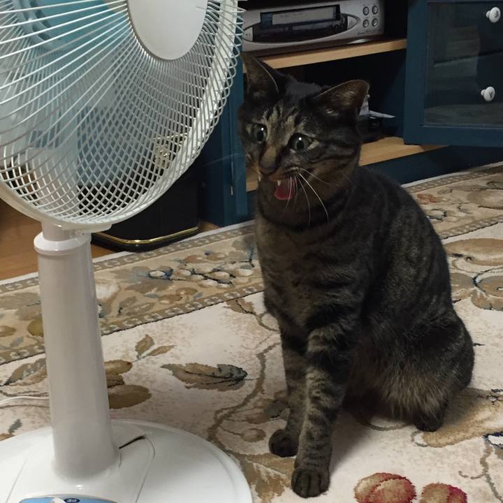 17266c73 29a7 45be 8eb4 4d039ba2092b