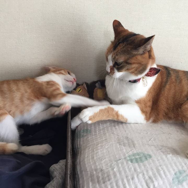 1726e125 46be 4e84 aab9 22fb0b07ef47