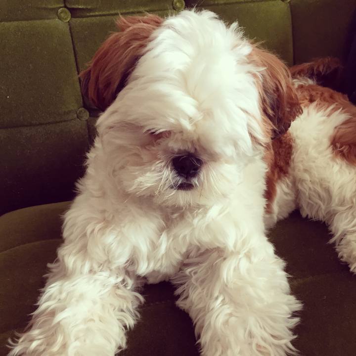 172718f7 a886 42a6 81a7 ca04efa813bf