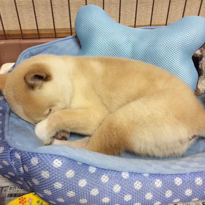 17274e9c 9b3d 4ef0 8a27 1c83f9394f2c