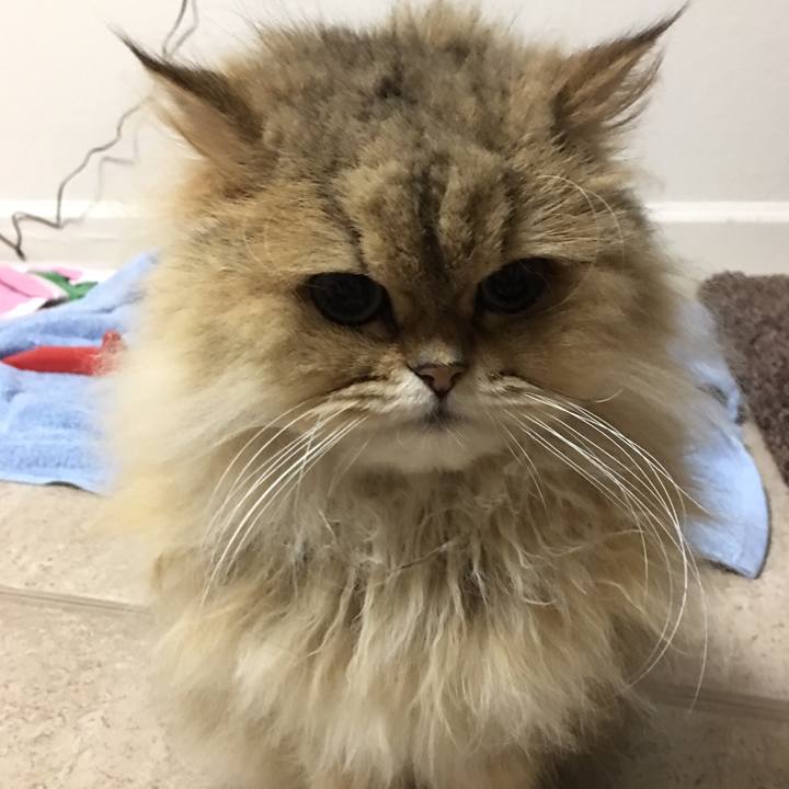 17284651 d0f9 4631 add6 4ceff6df844f