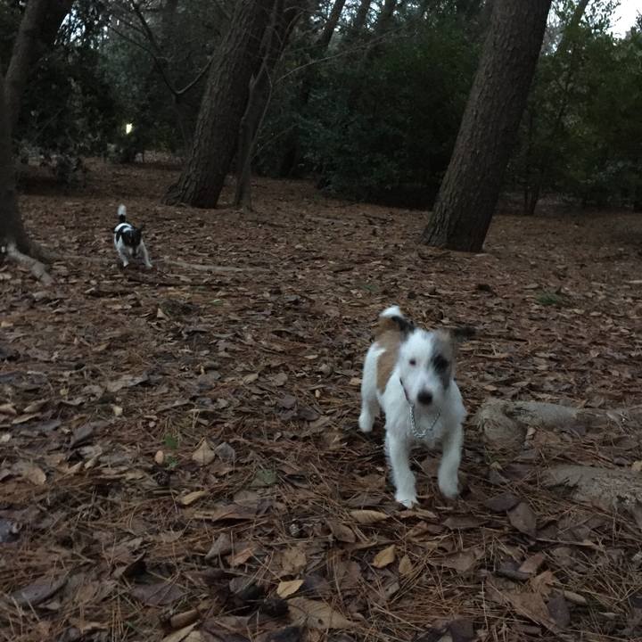 1728e721 f00a 41c8 867d e07d11f17f40