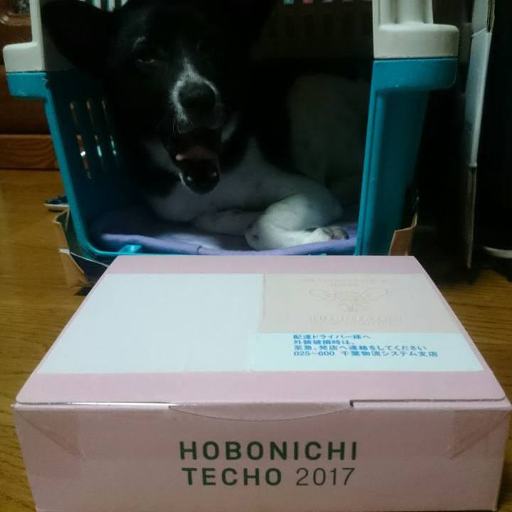 17290a5e b433 4d88 8c00 d2cb36405a7d